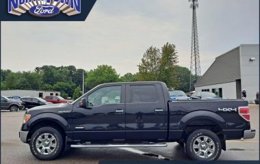 Used 2012 Ford F 150